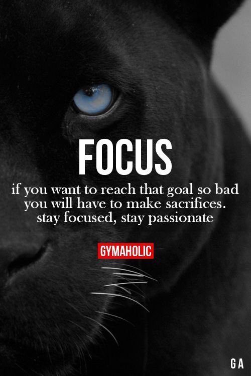 VaryBalazs's tweet photo. "Stay focused, stay passionate!" Daily motivation by GIMAHOLIC #daily #fitness #motivation #gymaholic https://t.co/fhwYK7me53