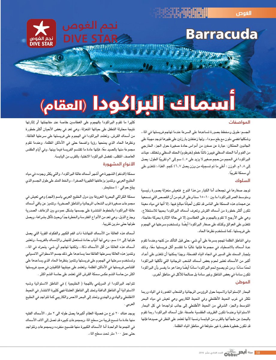 Obhur_Magazine's tweet photo. أسماك البراكودا (العقام) بقلم الكابتن @abdula_divestar
#الغوص #مجلة_أبحر #العدد_الحادي_عشر #ObhurMagazine #Issue11 https://t.co/PHsJuKxybD