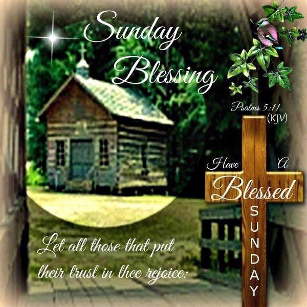 Donnas_Corner's tweet photo. https://t.co/IEq7tphGZ6