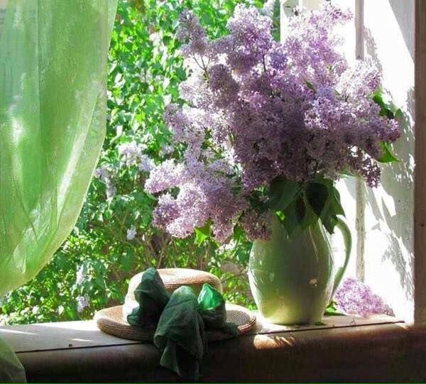 Donnas_Corner's tweet photo. https://t.co/kil4QwjHU1