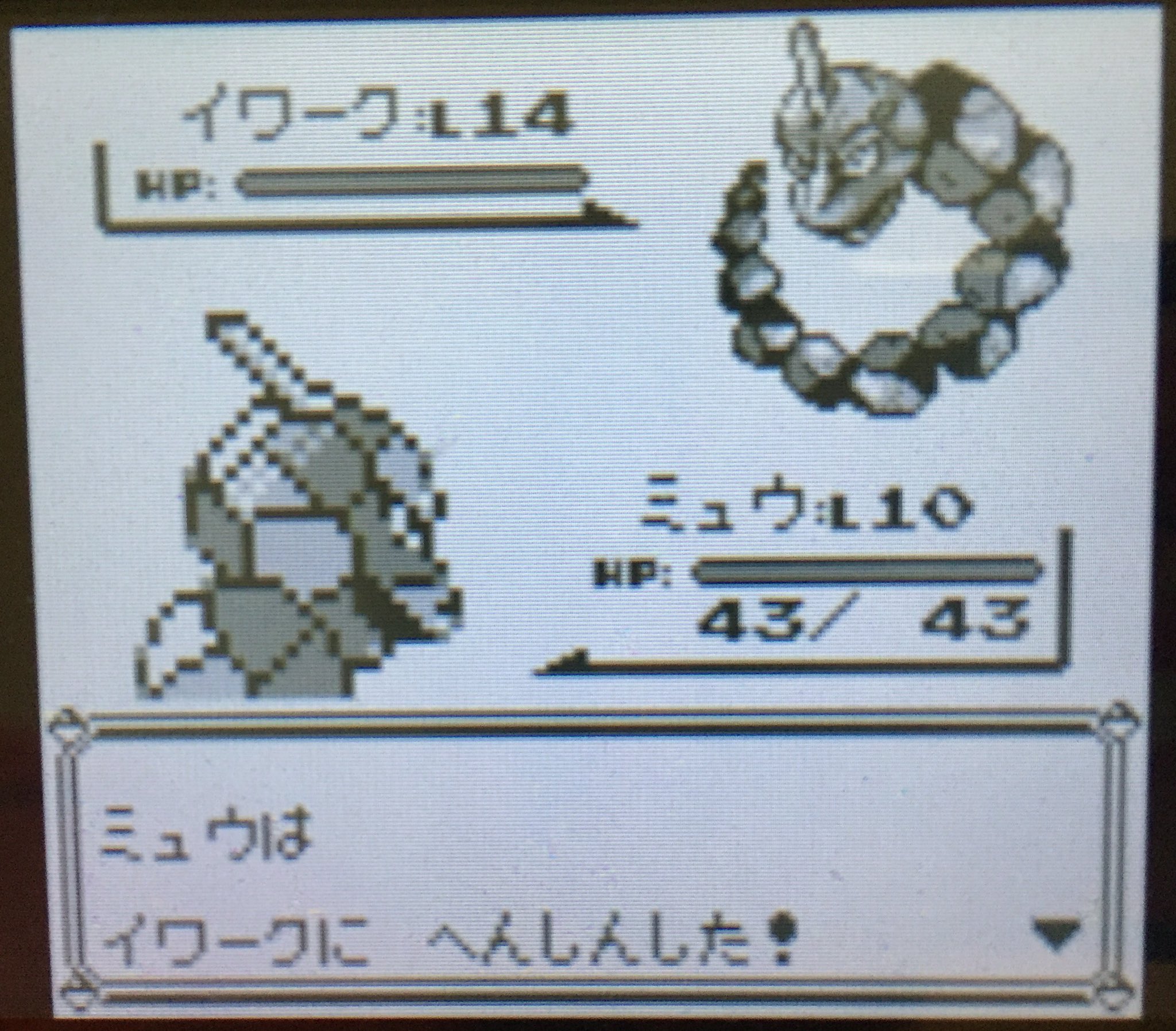 リフ M Sic Forever 初代ポケモン ミュウ6匹 で殿堂入り目指すpart4 ジム第1戦つるの剛士 へんしんでミラー勝負もってけばcp相手くらい余裕だろうと思ったけど Ppそれぞれ5ずつしか技奪えなくて苦戦しいられたw 結局最後はわるあがきで勝利 T