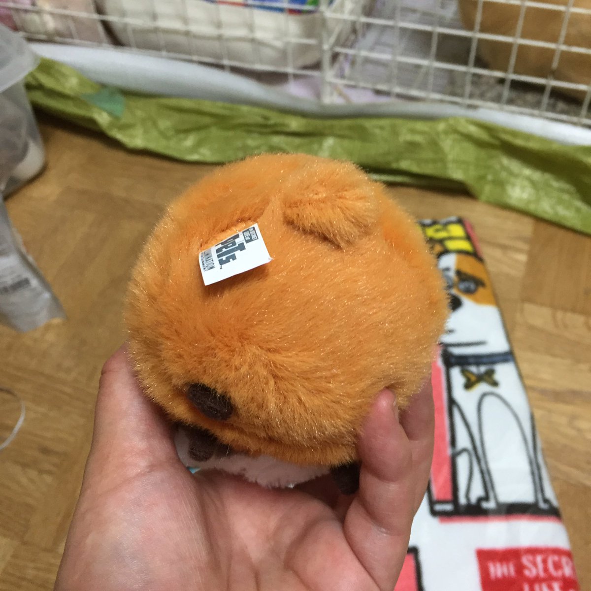 だいふくとすあま しばこ みたらしときなこもち ペット見てきました ノーマン可愛いぃぃぃぃ そして ノーマン狩りもして タオルとぬいぐるみゲット タオルは チョコチョコノーマンが走り回ってて可愛い このぬいぐるみ し 尻尾 笑 だいふくとすあま しばこ みたらしときなこもち ペット見てきました ノーマン可愛いぃぃぃぃ そして ノーマン狩りもして タオルとぬいぐるみゲット タオルは チョコチョコノーマンが走り回ってて可愛い このぬいぐるみ し 尻尾 笑