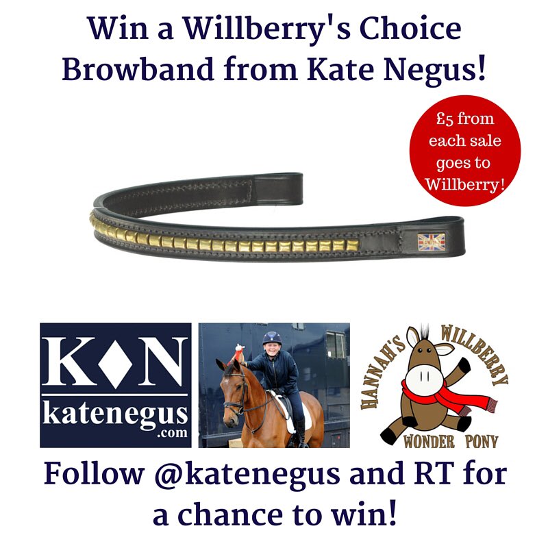 RT &amp; Follow <a href="/KateNegus/">Kate Negus</a> for a chance to WIN a Willberry's Choice Browband!
Draw Tonight 8-9pm at #EquineHour
