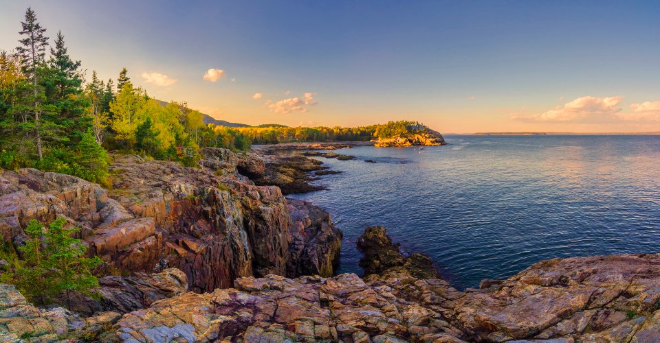 Epoch Taste tweet media