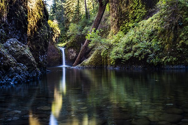 PeloBlancoPhoto's tweet photo. Punch Bowl Falls #waterfall #beautiful #PNW #outdoors #viewsofpnw #exploremore #adventure https://t.co/1F2SfSFWrk https://t.co/ep2q9fVKpQ