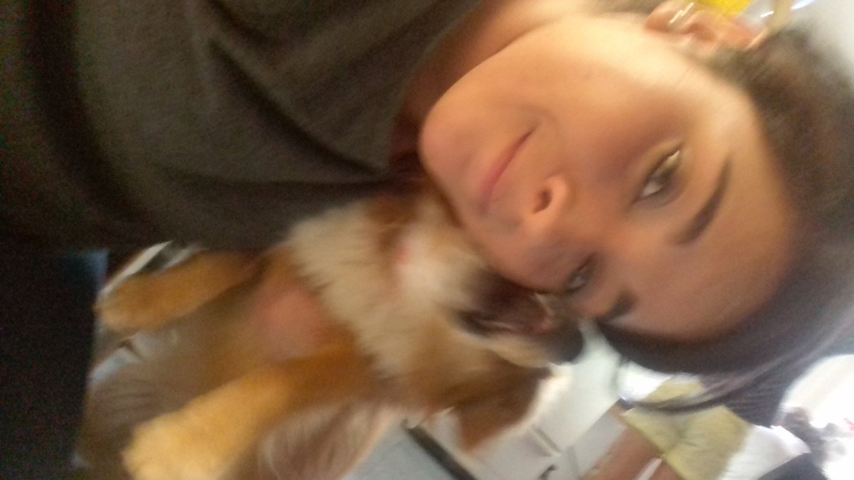 PaulaDoza's tweet photo. Mi perro odia las selfies ๐ #badpet https://t.co/O90nttcqK9