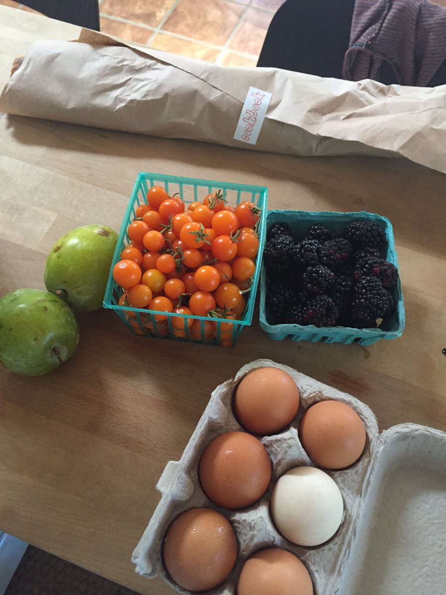 azaziegler's tweet photo. #Breakfastblog California style https://t.co/YssKC4qN6W