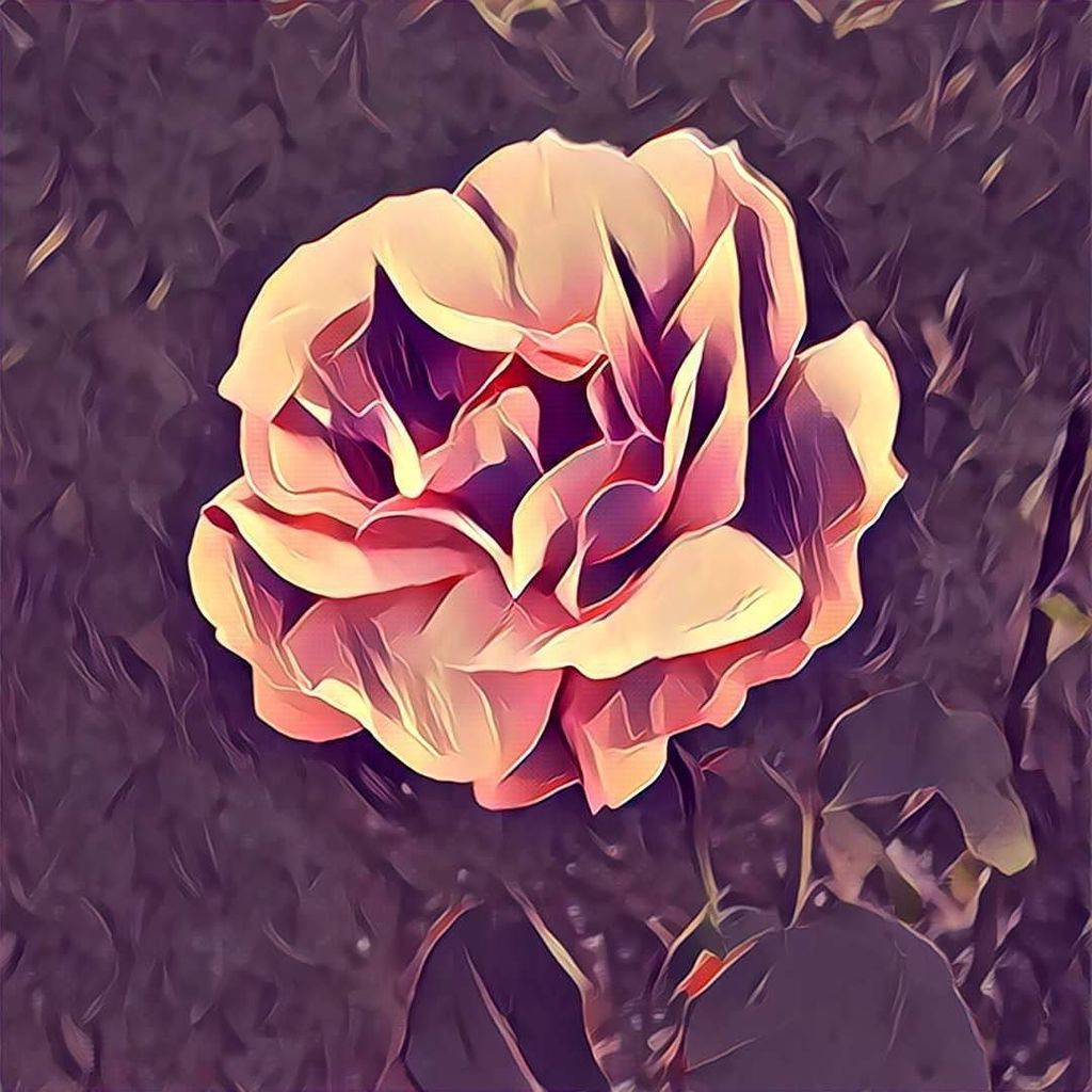 VentoTagliente's tweet image. «Potranno mai le mie parole esserti da rosa, sposa?» (Cit. Max Gazzé)