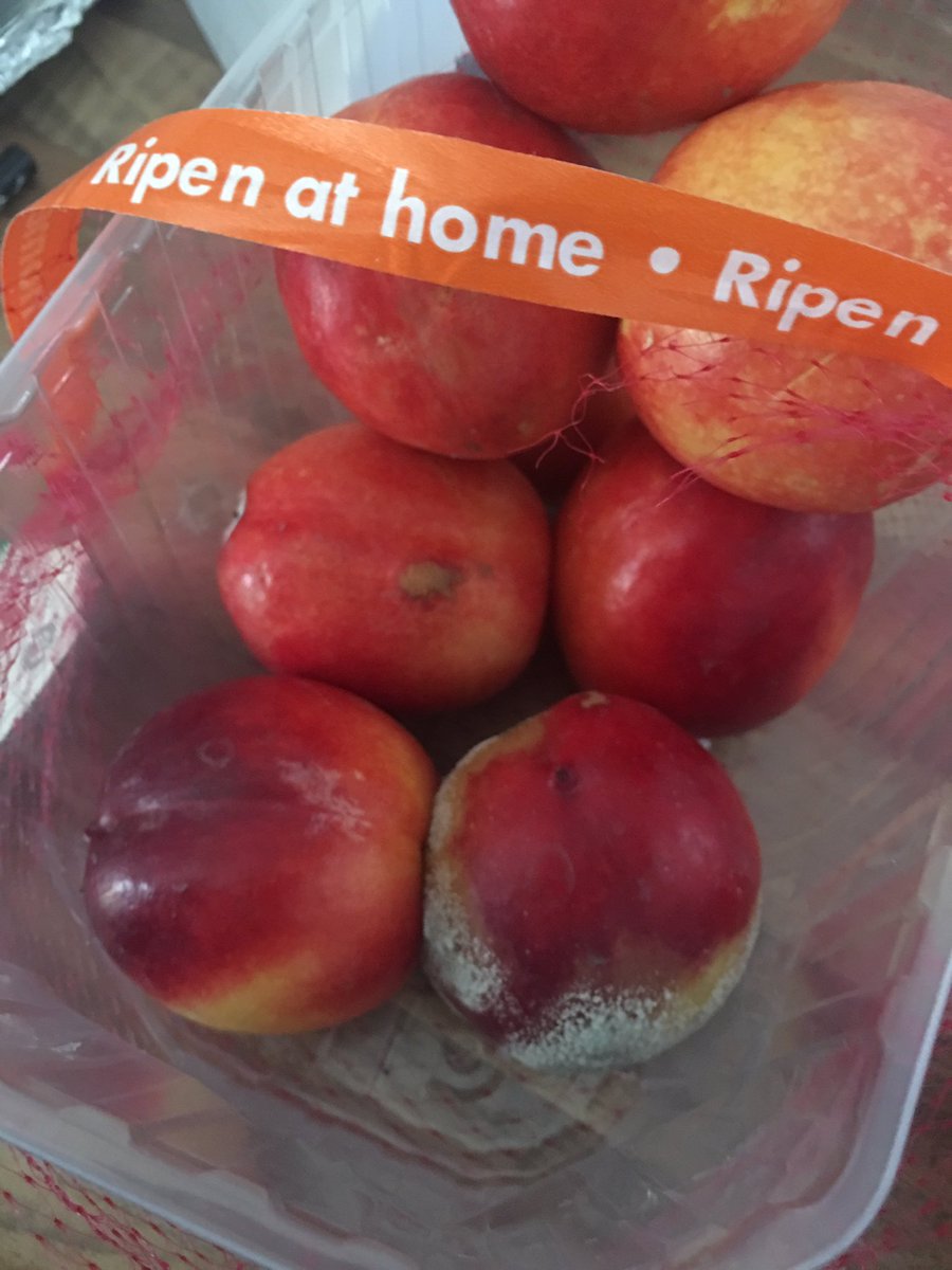 samvincent10's tweet photo. Ripen at home? Only had them 3 days! What's going on @LidlUK?! https://t.co/UqofzMkdQ8