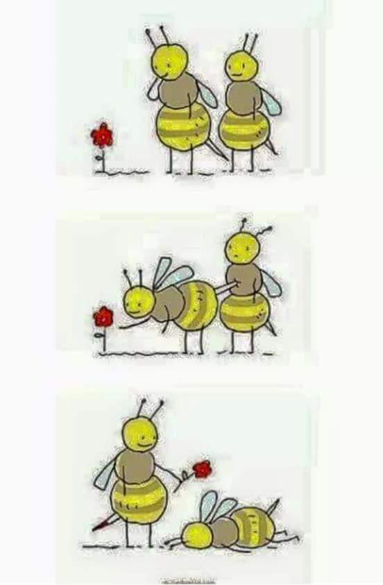 Suele pasar en una relación. 😕