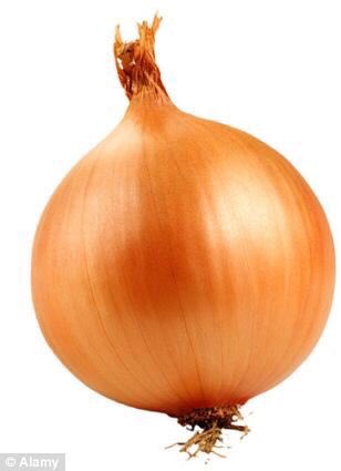 Euros2024bible's tweet photo. Whos better? 

RT - this onion

Like - Alberto Moreno https://t.co/cNJFeLrZmZ