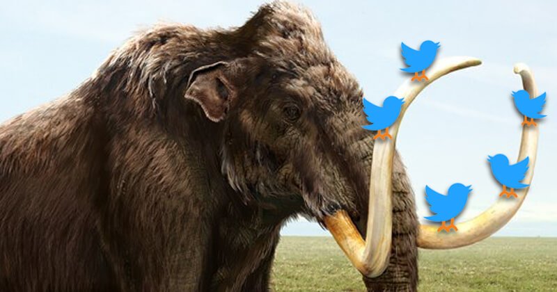 6 Ways for Beginners to GROW a Mammoth-Sized Twitter Following (yes, Organically!!) - bit.ly/1OwCvd0