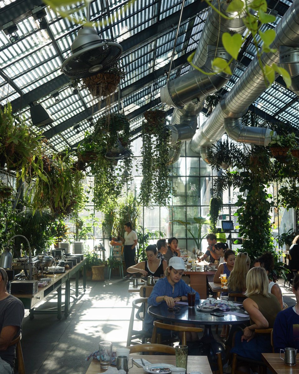 LucyWillShowYou's tweet photo. Breakfast in the jungle at @thelinehotel #LA #LWSY https://t.co/tKhKkmxadS