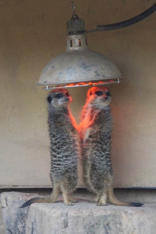 Spilling_The_T's tweet photo. When you're in the smoking area of a club with your mates https://t.co/gqzQAtTnpn