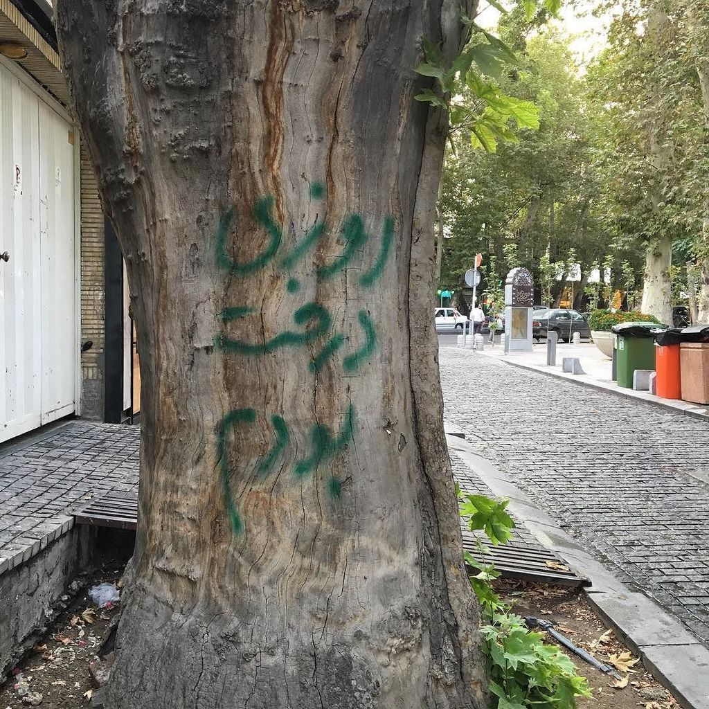 figandquince's tweet photo. Such an #Iranian tree! Waxing nostalgic, melancholy and poetic! 😂 #treegraffiti #complaini… https://t.co/dBHRb70Iey https://t.co/mlAWWFO8ao