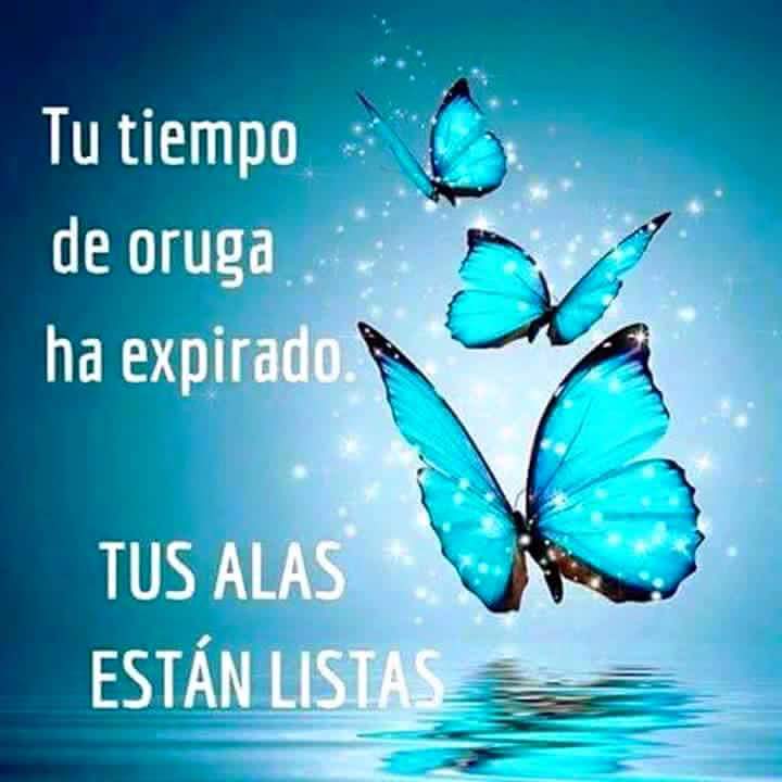 mary_aymat's tweet photo. Tu tiempo de oruga ha expirado , tus alas están listas , ahora está en vos decidir que hacer con ellas... https://t.co/wx0Mlzjoby
