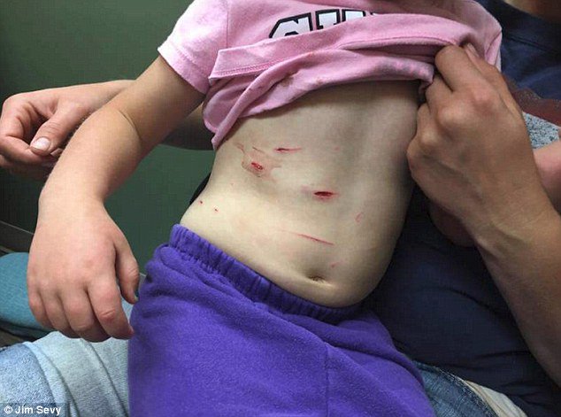 View image on Twitter