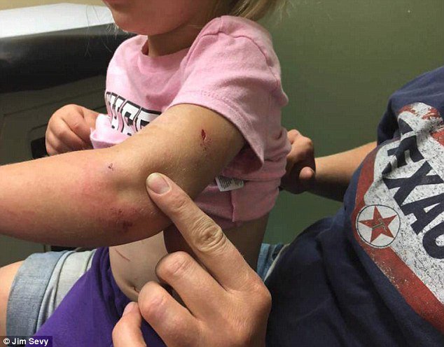 View image on Twitter