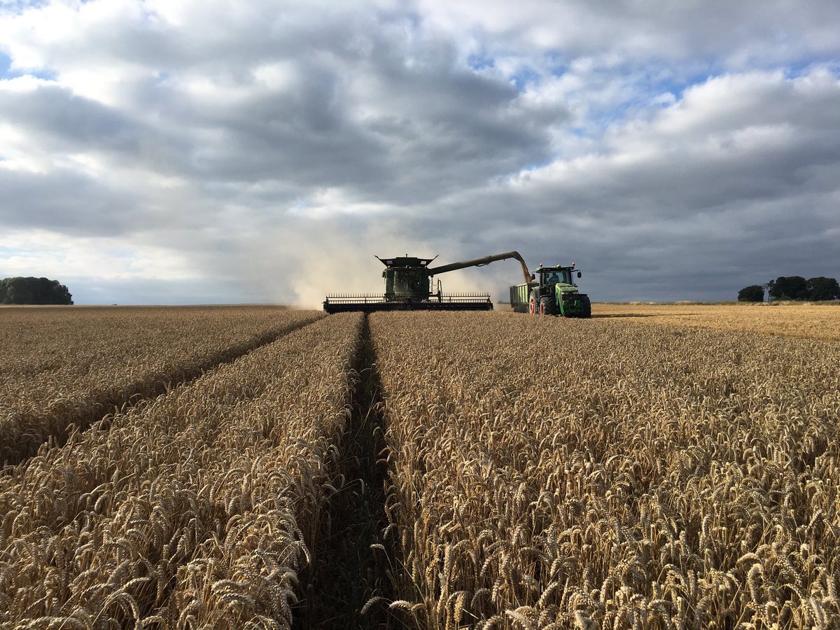 No1FarmerJake's tweet photo. No #5MinFallow today #bigfield #longwayfromhome #moretrailers #8370R #corncart https://t.co/5Ou5R0S9rI