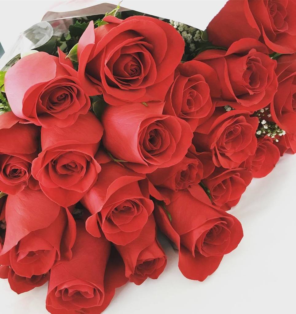 NarminaOfficial's tweet photo. And these are so special! 😍 #roses #redrose #red #annversaryroses #rose #pink #peach #flow… https://t.co/KFsOnf5zmf https://t.co/zKpZb2kpi9