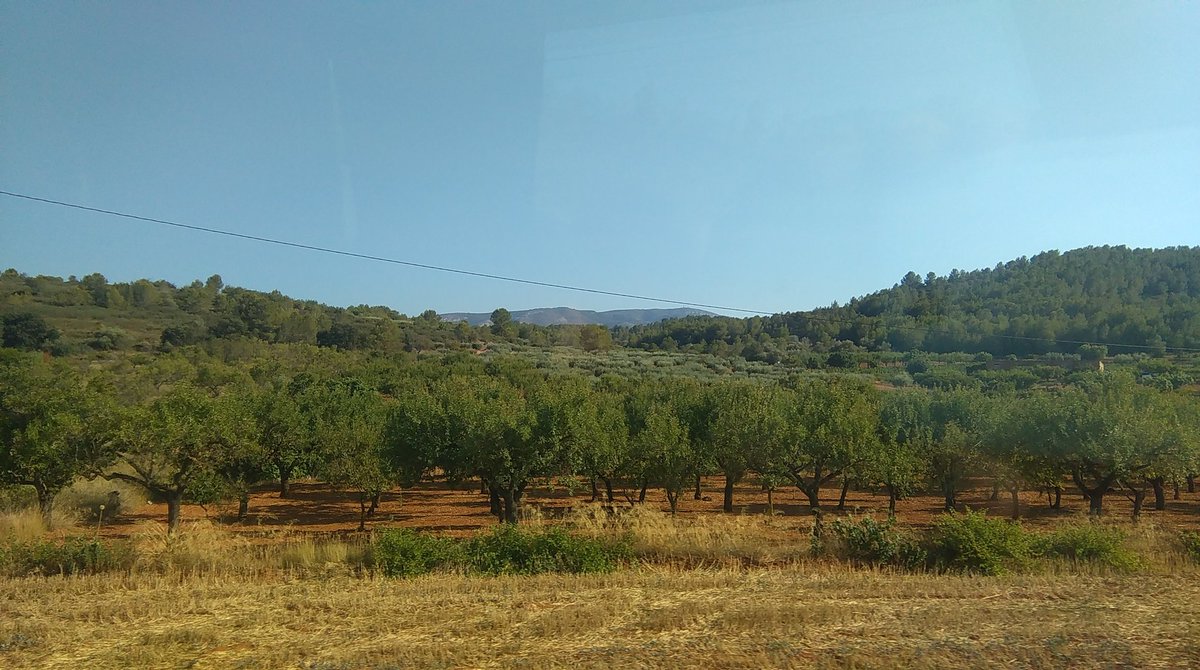 miquelnotari's tweet photo. #Impressionants les terres valencianes de les comarques de la Plana Alta (a la Plana de l'Arc) i l'Alt Maestrat. https://t.co/1ie6eNtk5W