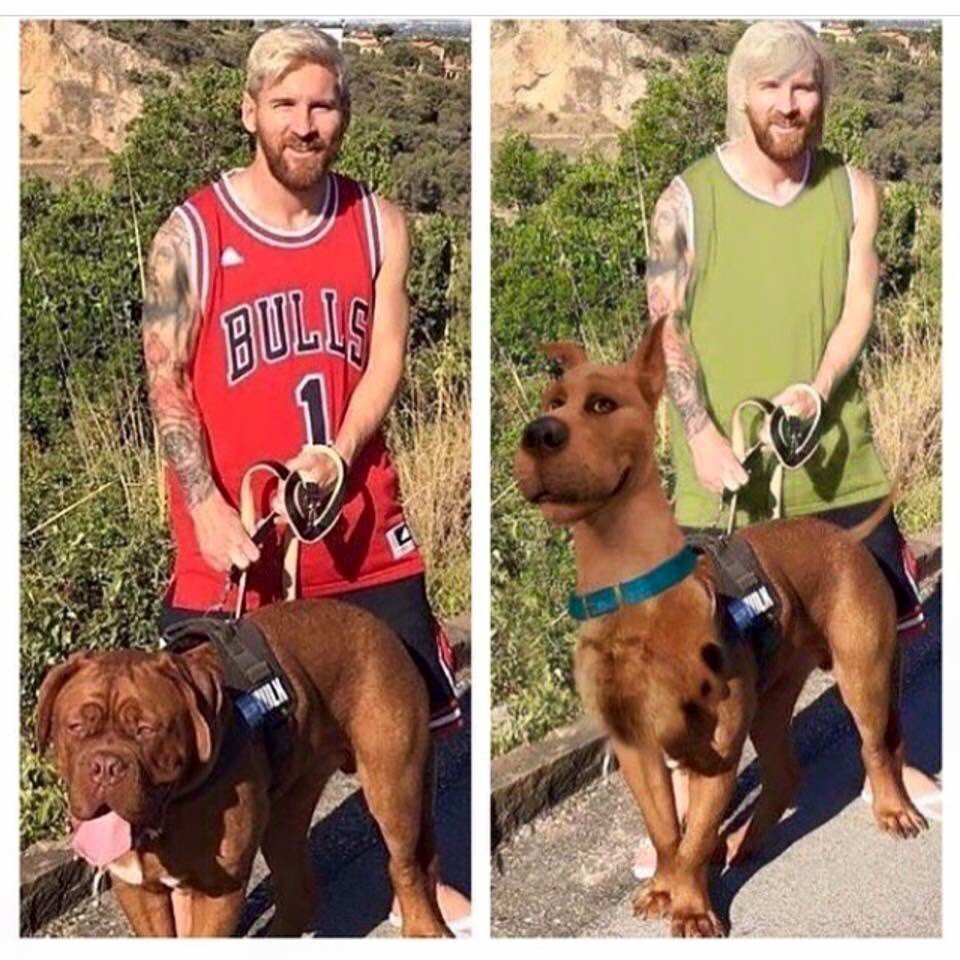 iamdoxel's tweet photo. qui a fait ca? ptdrrrr arretez 😂😂😂😂 https://t.co/cLcCOqJ3YO