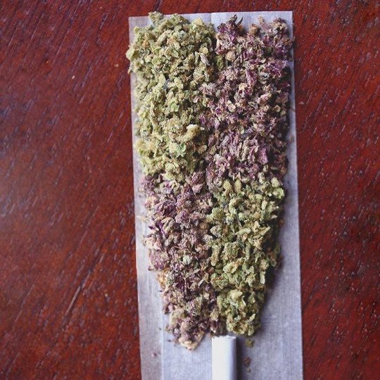 tedsmarijuana tweet picture