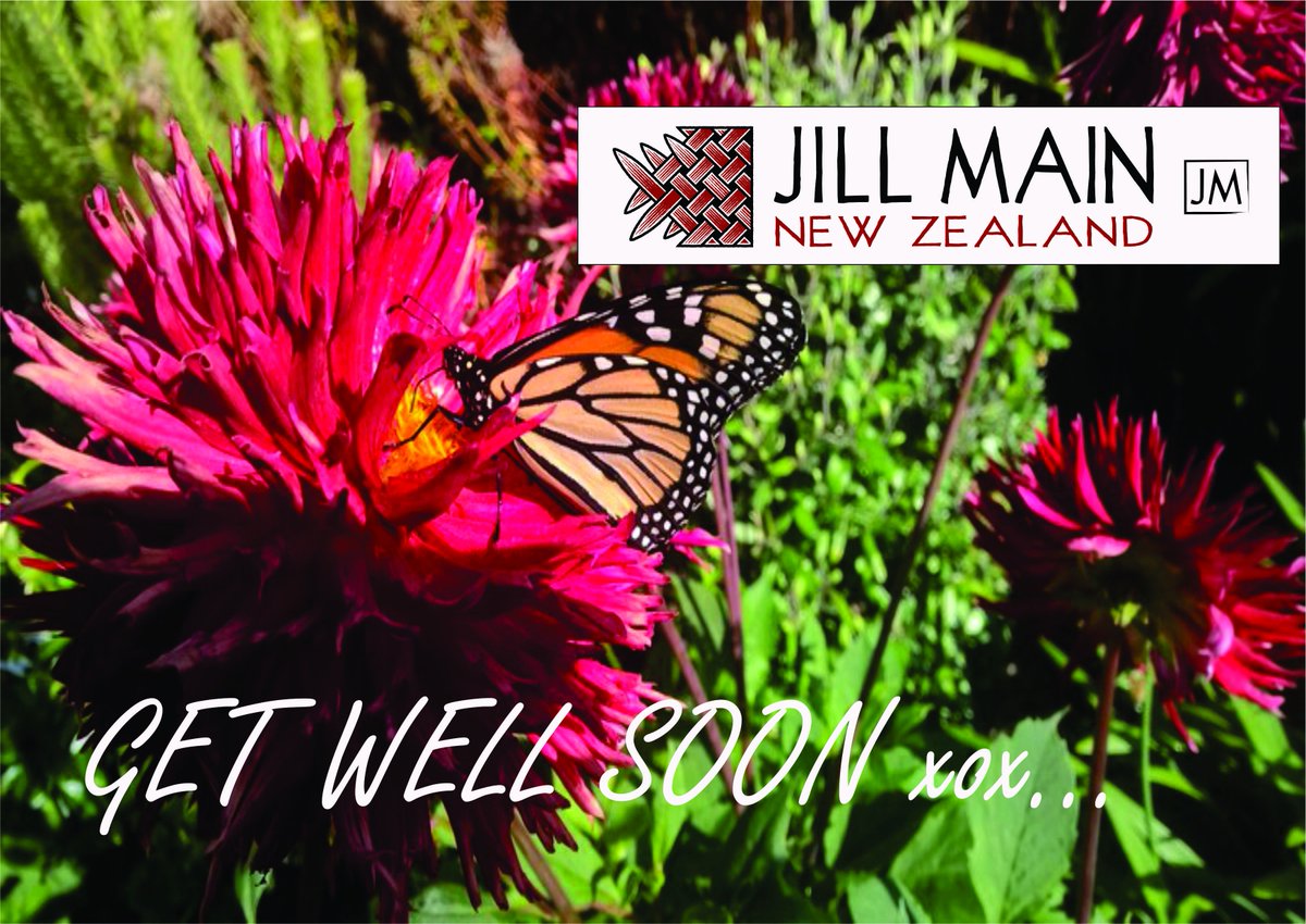 Jillmain_nz's tweet photo. Monday didn't quite make it?..Just to let you know, we're thinking of you...
#JillMain https://t.co/b96JRExtIU