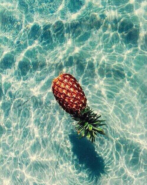 aquaticsenses's tweet photo. 🍓🌰🍍🌴 https://t.co/95grkPWHEx