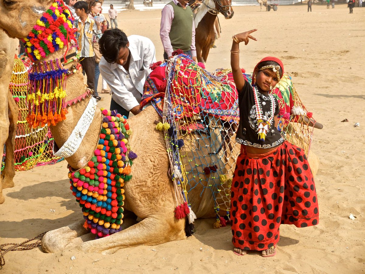 CostumeShopper's tweet photo. Who's heard of Pushkar Camel Festival India? It's a camel fair with various music and events. #Costumeshopper https://t.co/IEedpmbqDp