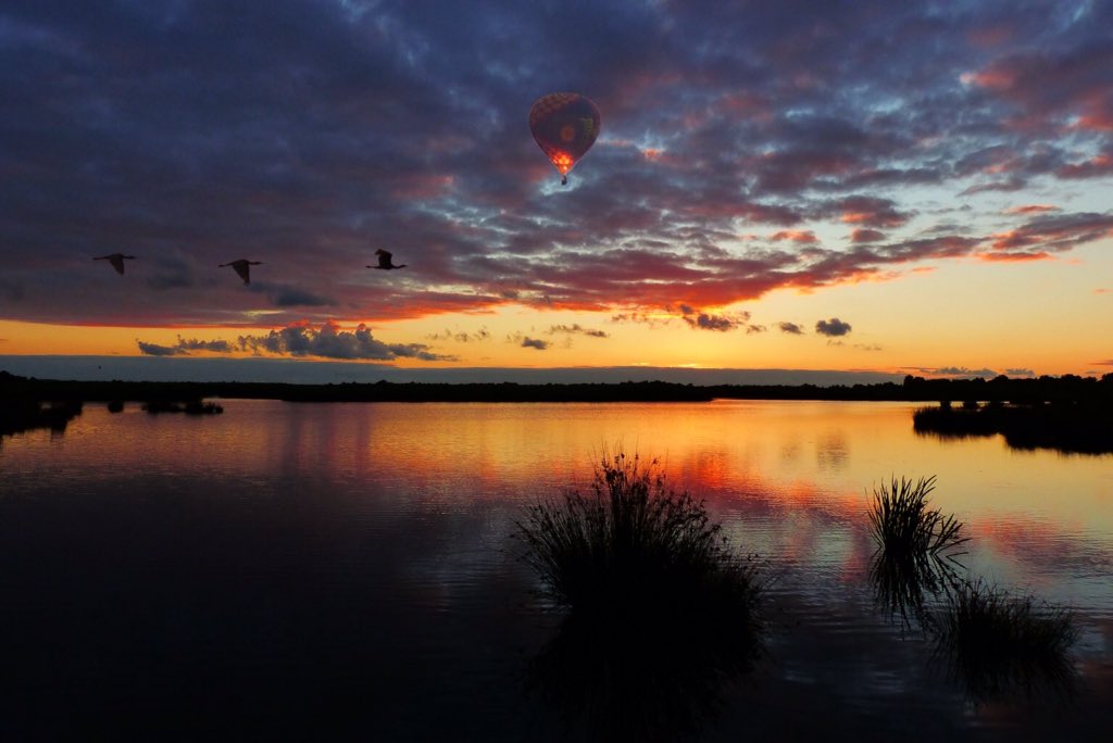 Ssunshot's tweet photo. #Groningen #Poldermatsloot #Zonsondergang #14Aug2016
@RTLnieuws @Helgavanleur @Mooieluchten @Mooielucht @WNLVandaag https://t.co/Wqwr7j5G1L