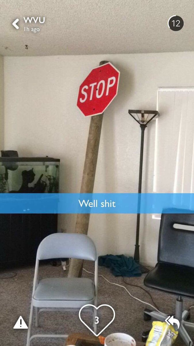 Download Gobi and add WVU for your campus story! #WVU #WVU2020 #WVUMountaineers