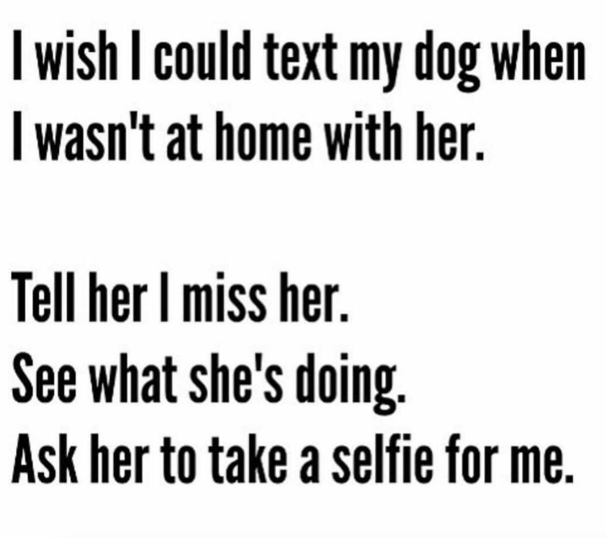 txrdcountry's tweet photo. #mustlovedogs #selfiesunday https://t.co/0cxXqYj9bY