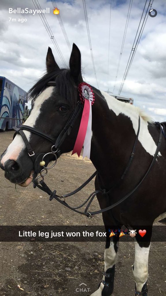 Luluwarren1's tweet photo. Feeling like a proud parent right now!@IsabelSaywell and Bully jumped their first 1.10 together and won😍👌🏻#teamcow https://t.co/XhJu63ya5D