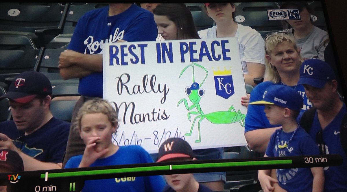 Hannah004G's tweet photo. When you finally make it onto Royals Live but you're not even looking at the camera #RIPRallyMantis https://t.co/kvTB4bdatp