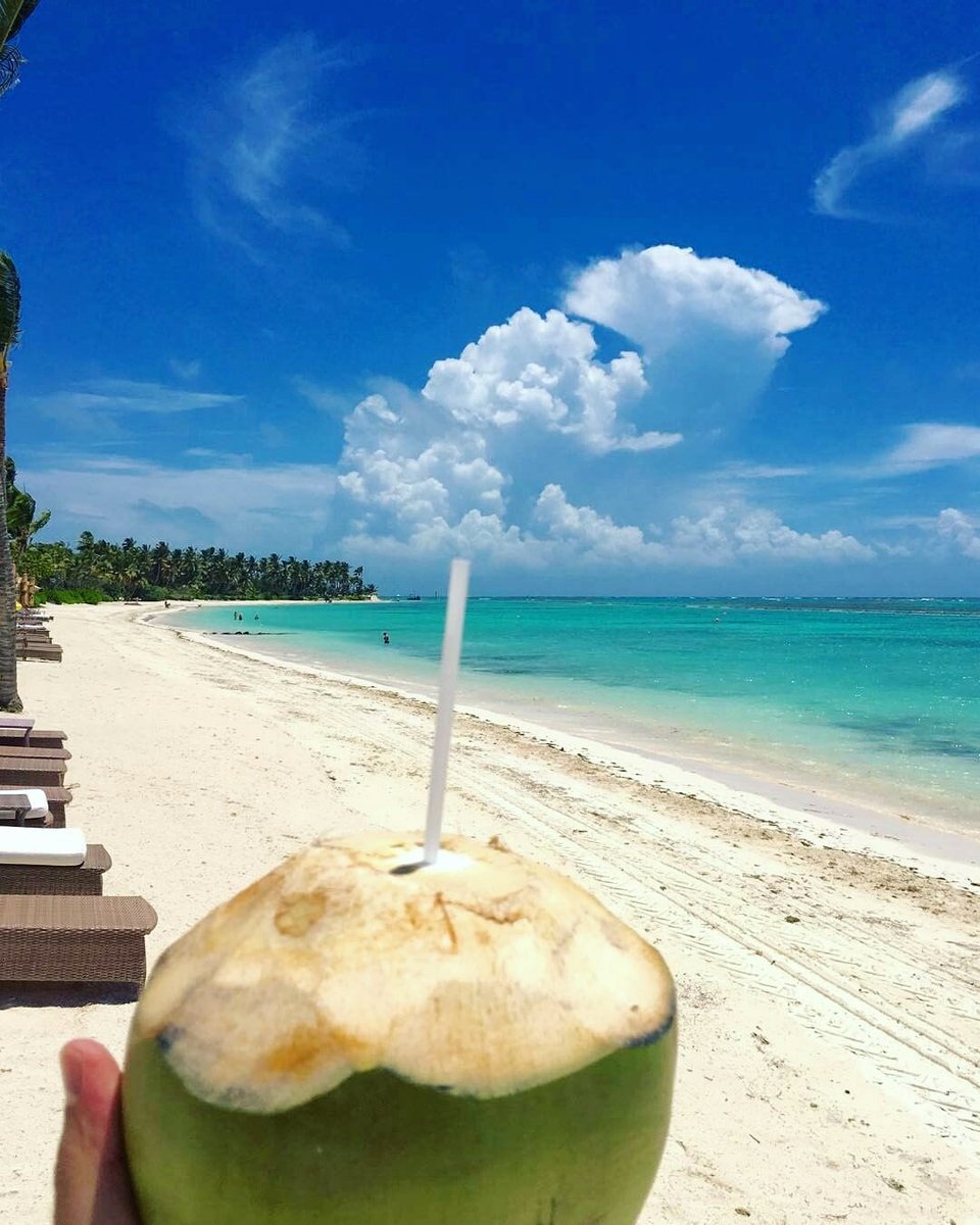PUNTACANARESORT's tweet photo. Greeatings from paradise! 30°C and blue skies @TortugaBayPCRC🌴. How is the weather where you are? 📷@gabrielpuntacana https://t.co/hxKgfMt8cD