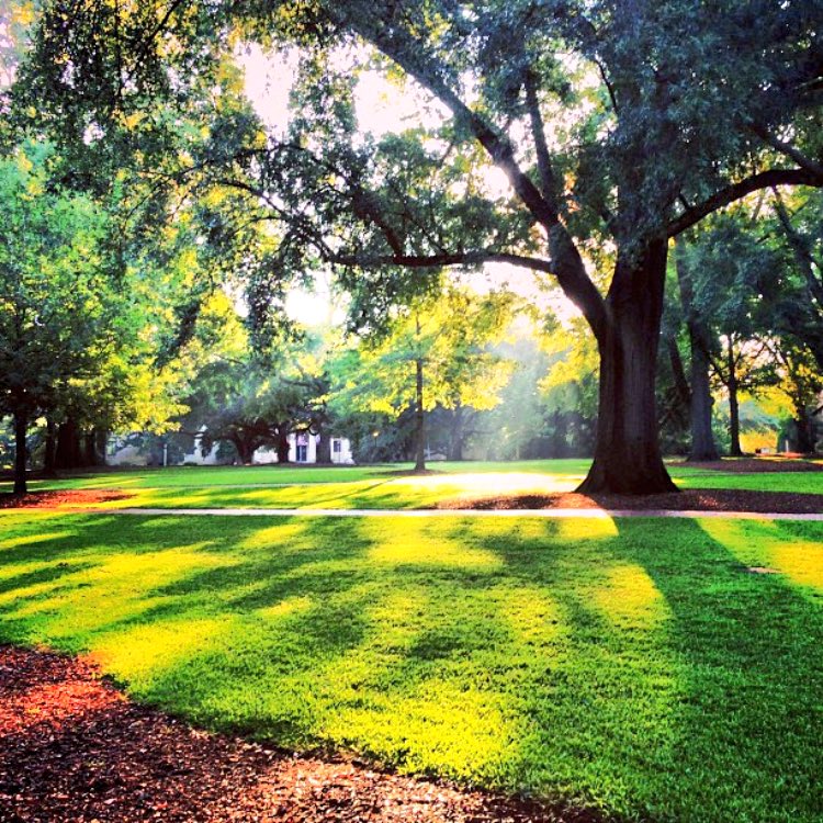 chasemizzell's tweet photo. Welcome to the family, #UofSC20! Seize the precious opportunities to learn, to serve, and to lead @UofSC. https://t.co/IBoXhdN2Rm