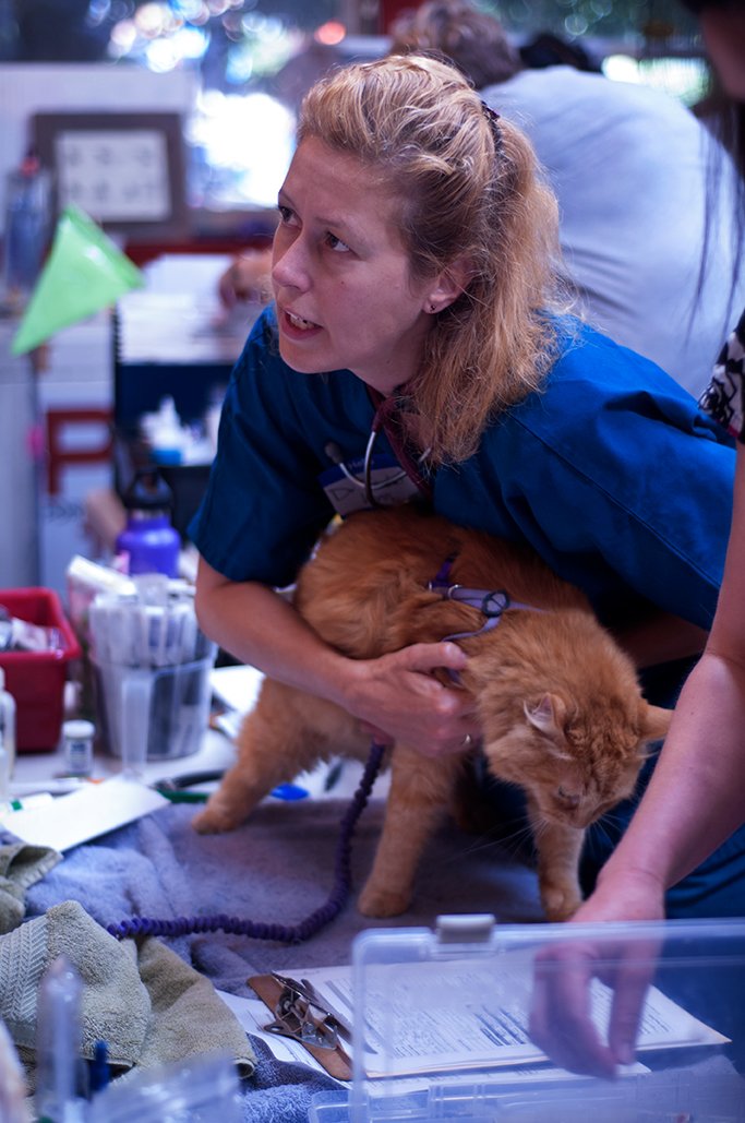 PAWTeam's tweet photo. Veterinarian Isabel Wyss volunteers at @PAWTeam clinic for homeless ppl &amp; pets. https://t.co/ptgaA5n20N  #veterinary https://t.co/SwwGEe4olu