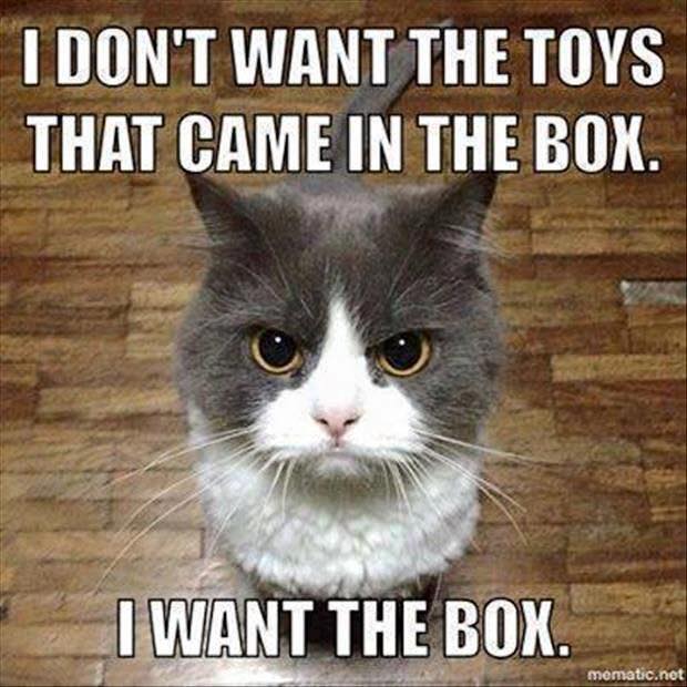 PetProClean's tweet photo. https://t.co/cJkBD2oPyI