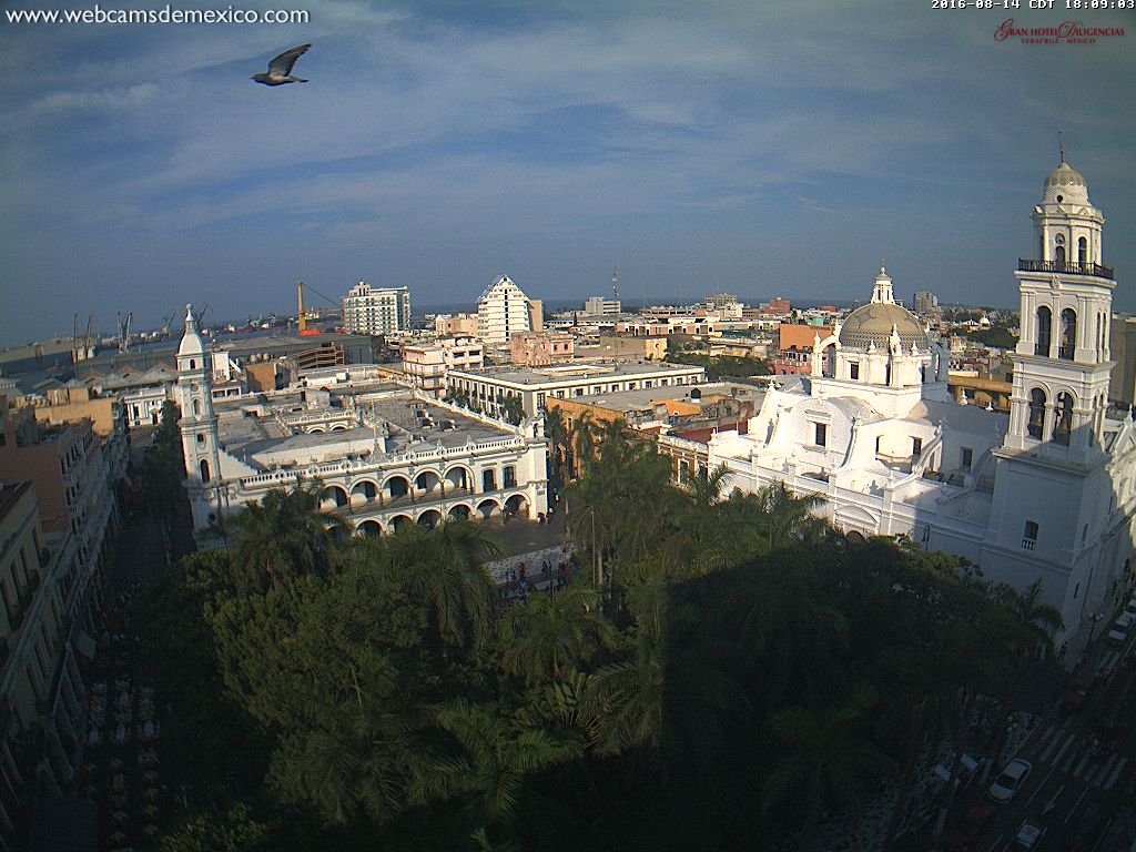 webcamsdemexico's tweet photo. Así luce el centro de #Veracruz en este momento, Temperatura actual: 32º C. Note el bello emplumado que se atraviesa https://t.co/owc2hvrS7a