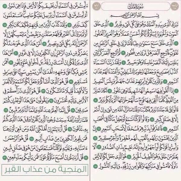 سالم الشمري tweet media