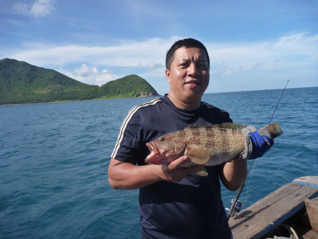 TOUR CU LAO CHAM (@InfoNang) / Posts / X
