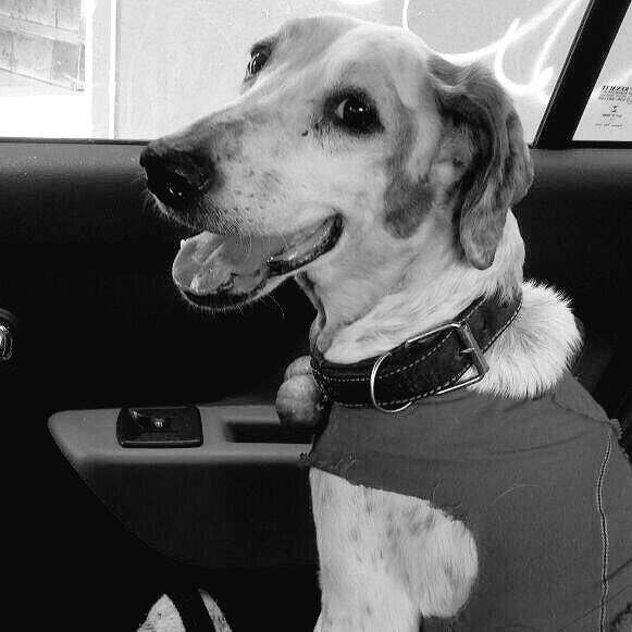 IreviU's tweet photo. Con cada día que pasa se hace más profunda tu ausencia. Me haces tanta falta mi angelito. https://t.co/oAwntDScu9