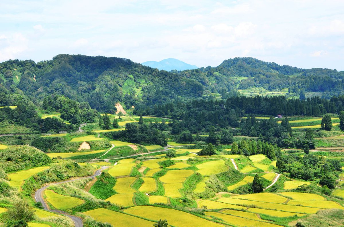 星峠の棚田【新潟県】

『日本の里百選』に選ばれた
新潟県十日町市の松代・松之山地区の中でも、
日本一の棚田と呼ばれる星峠の棚田。