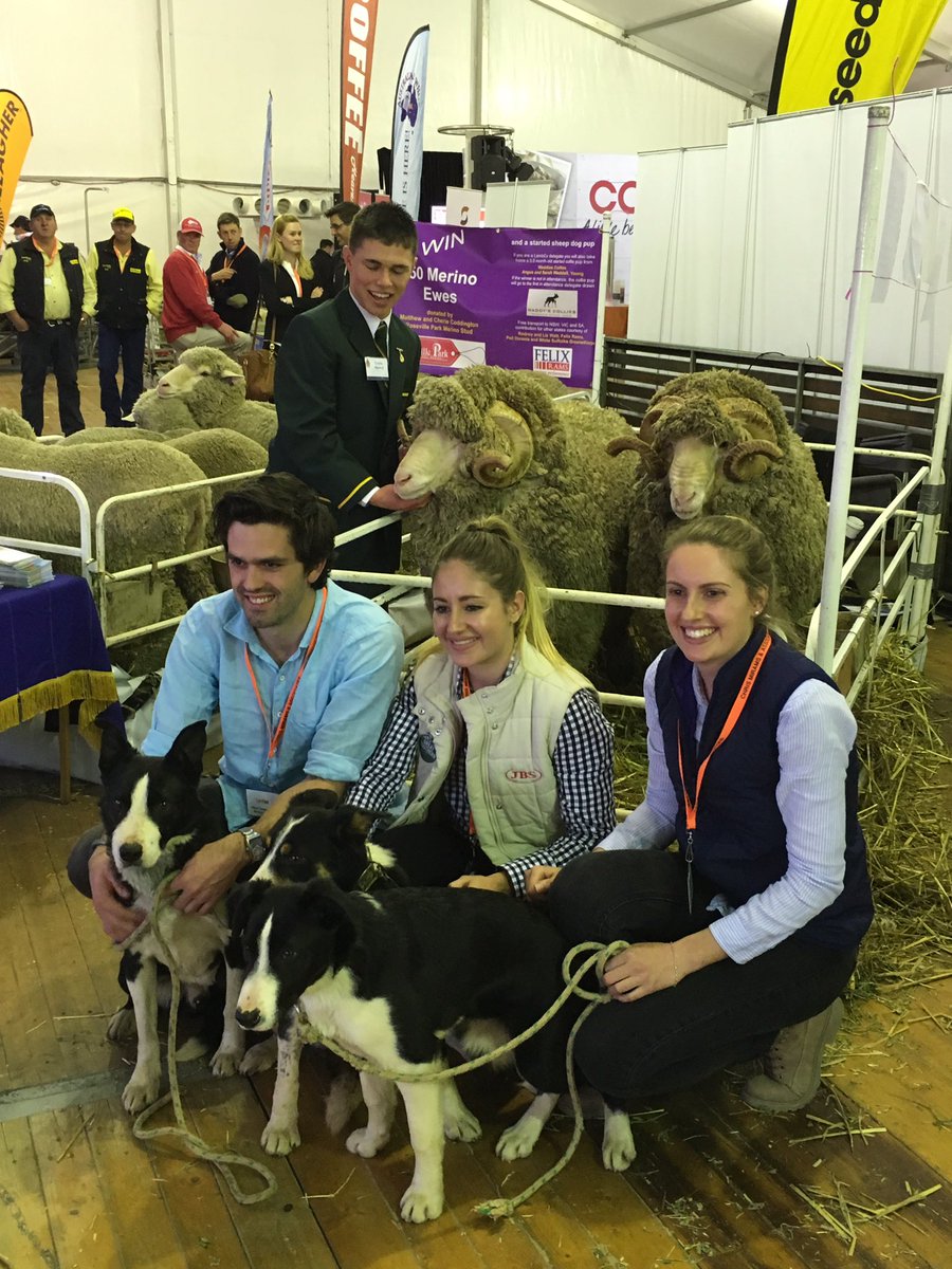 LambExAU's tweet photo. Thanks to all involved in making 2016 the best, &amp; biggest, #LambEx yet! We look forward to 2018! #lambex2016 https://t.co/dA2fekAbQa