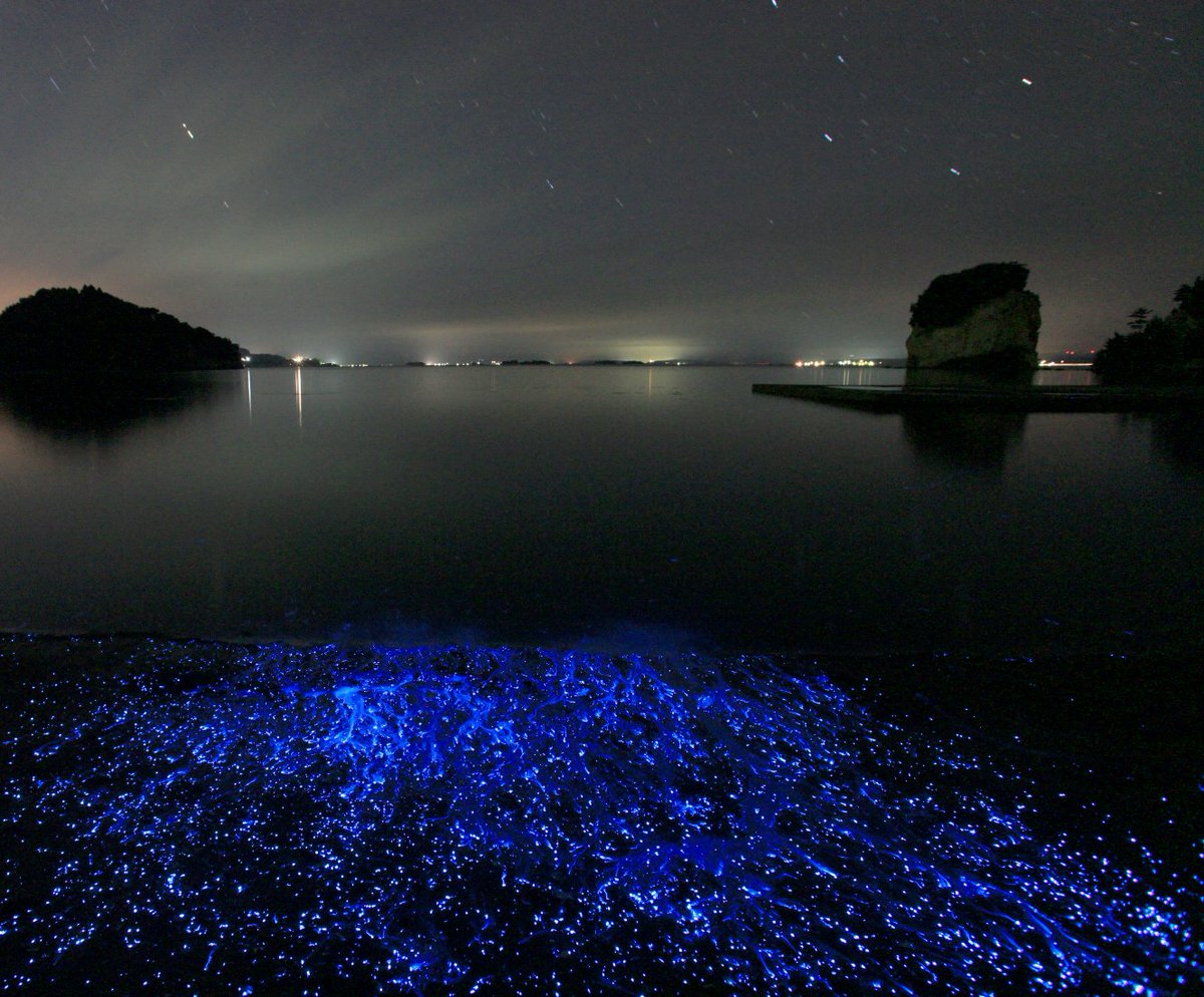 駐車場を越えた 海ほたる パワースポット ショッピング レジャーでも楽しめる魅力を紹介します 日本最大級のsns映え観光情報 スナップレイス