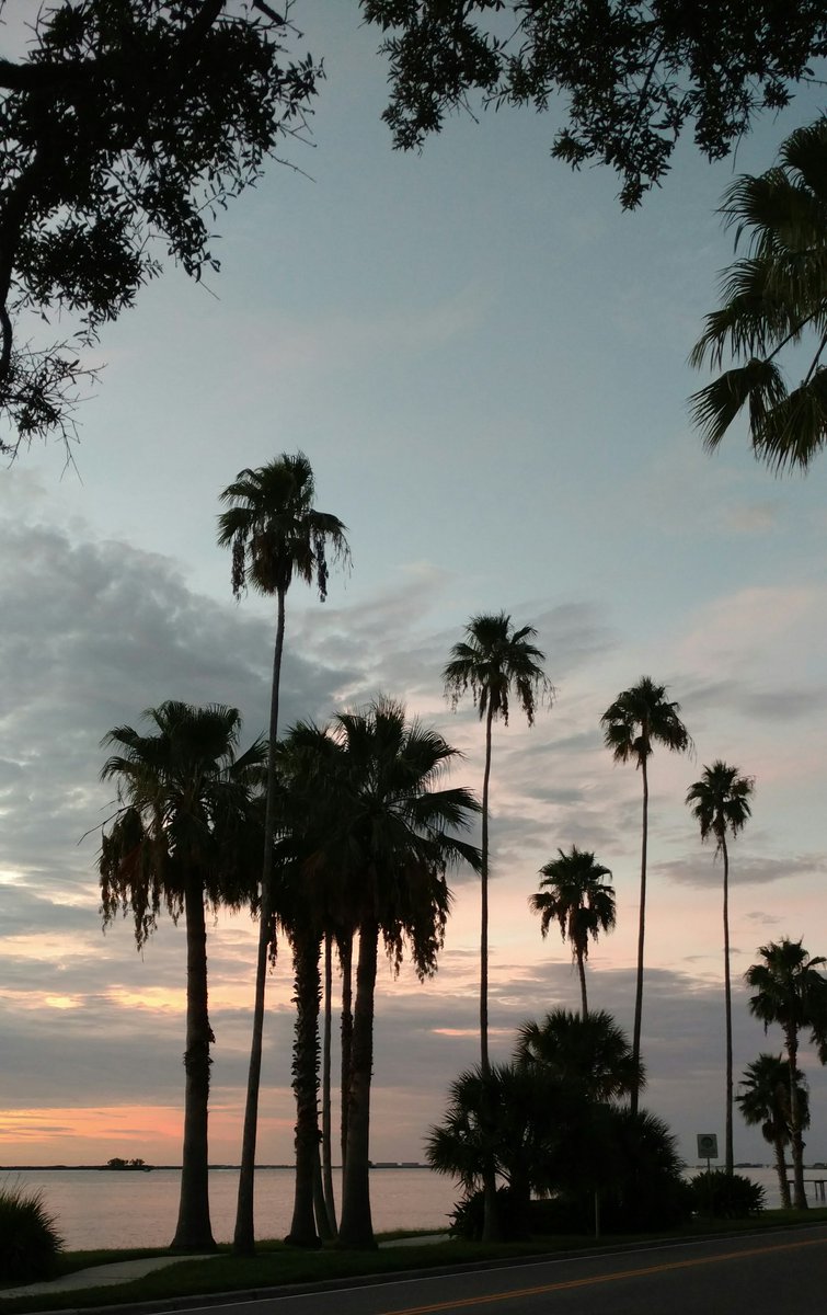 CynthiaZygadlo's tweet photo. Ran out for my last 700 steps right into this gift of sky.  #pdrSC @pdrcpas  #truewellness https://t.co/Lu4rh1Z2QP