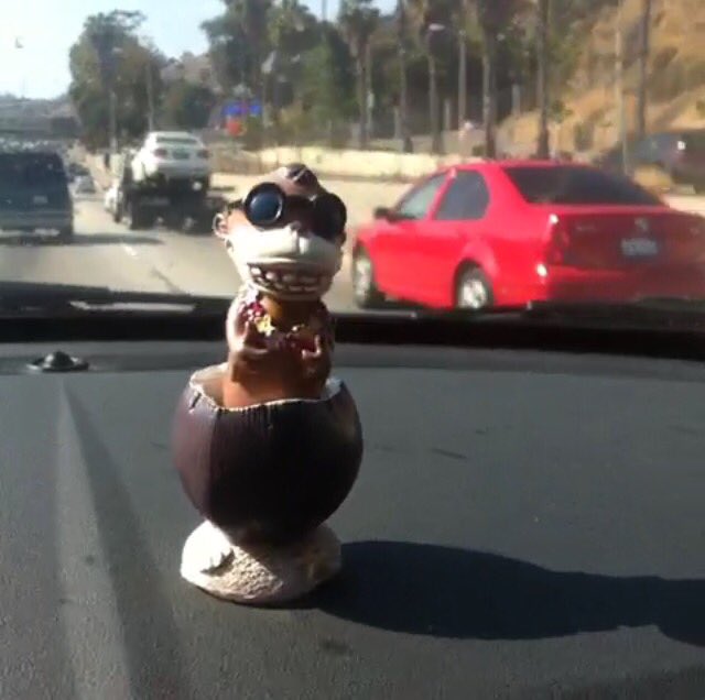 MONKEY!!!!!!!!!!!!!!!!!!!!!!!!!!!! 🐵🐒🙉🙊