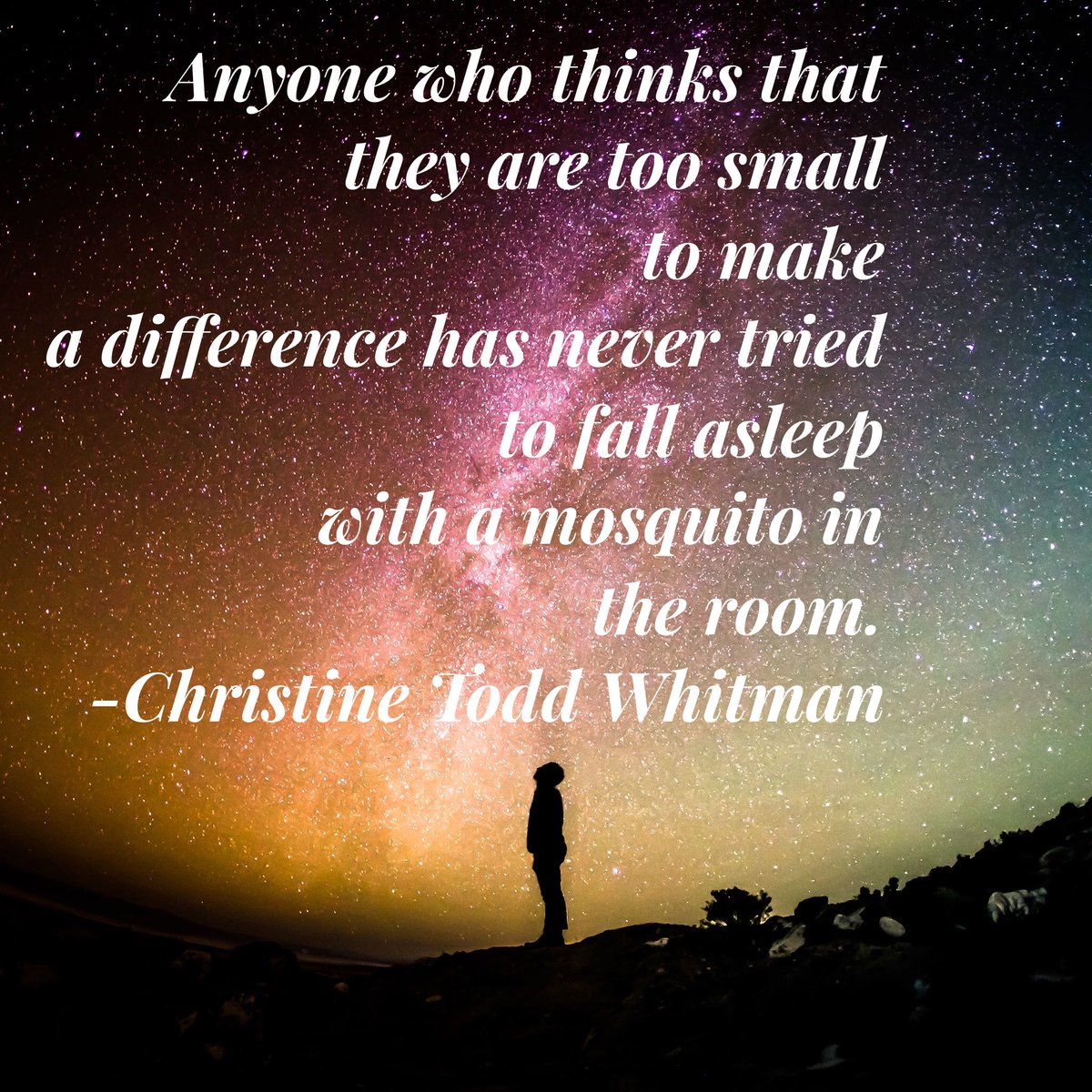 markchironna's tweet image. Great quote from Christine Todd Whitman: