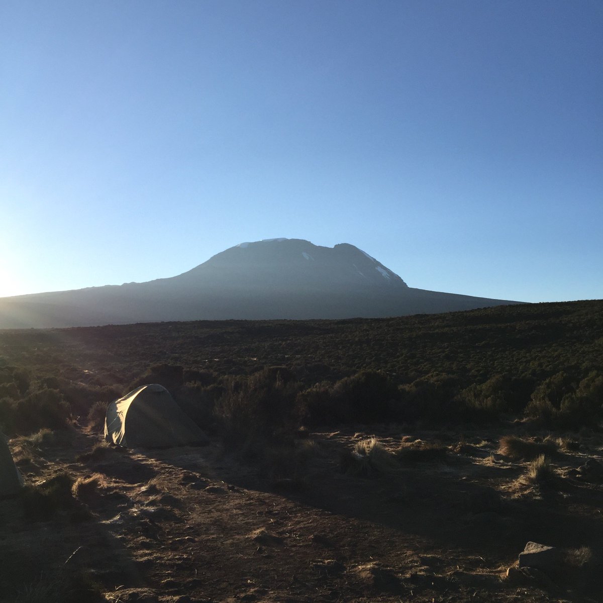 PerthDevSites's tweet image. Pre-launch-Life Lessons From Kilimanjaro-Part proceeds to childhood cancer research.

bit.ly/2aPvTrz